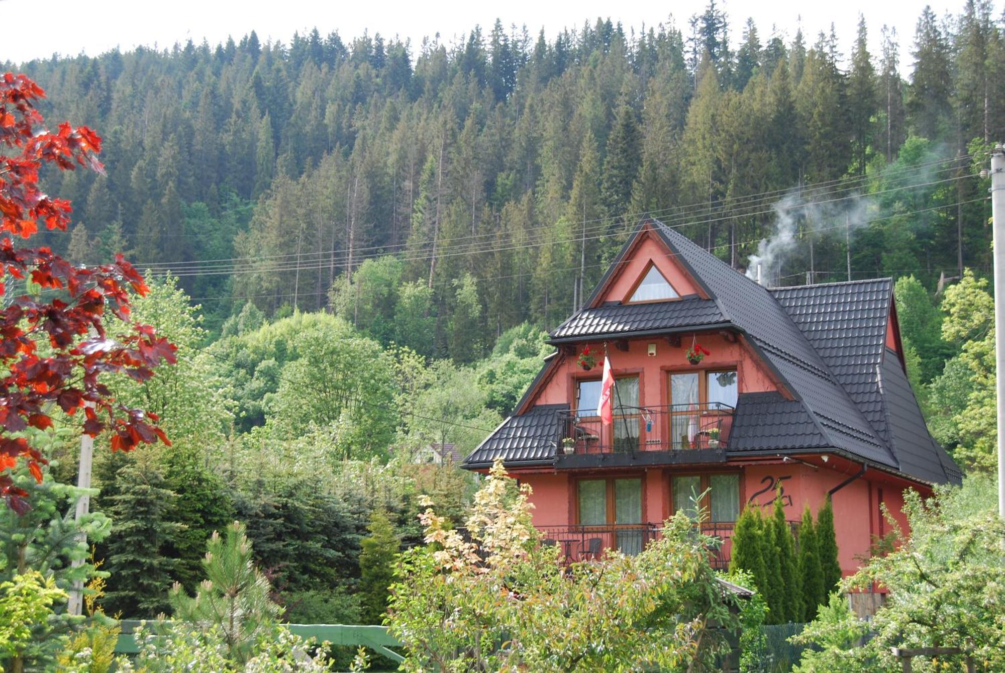 Willa Pod Bandera Zakopane Ngoại thất bức ảnh