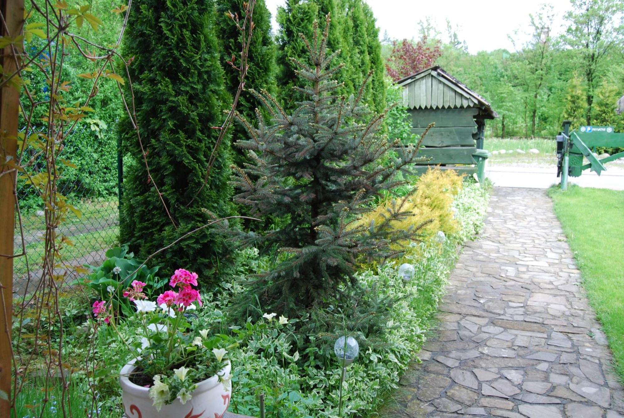 Willa Pod Bandera Zakopane Ngoại thất bức ảnh
