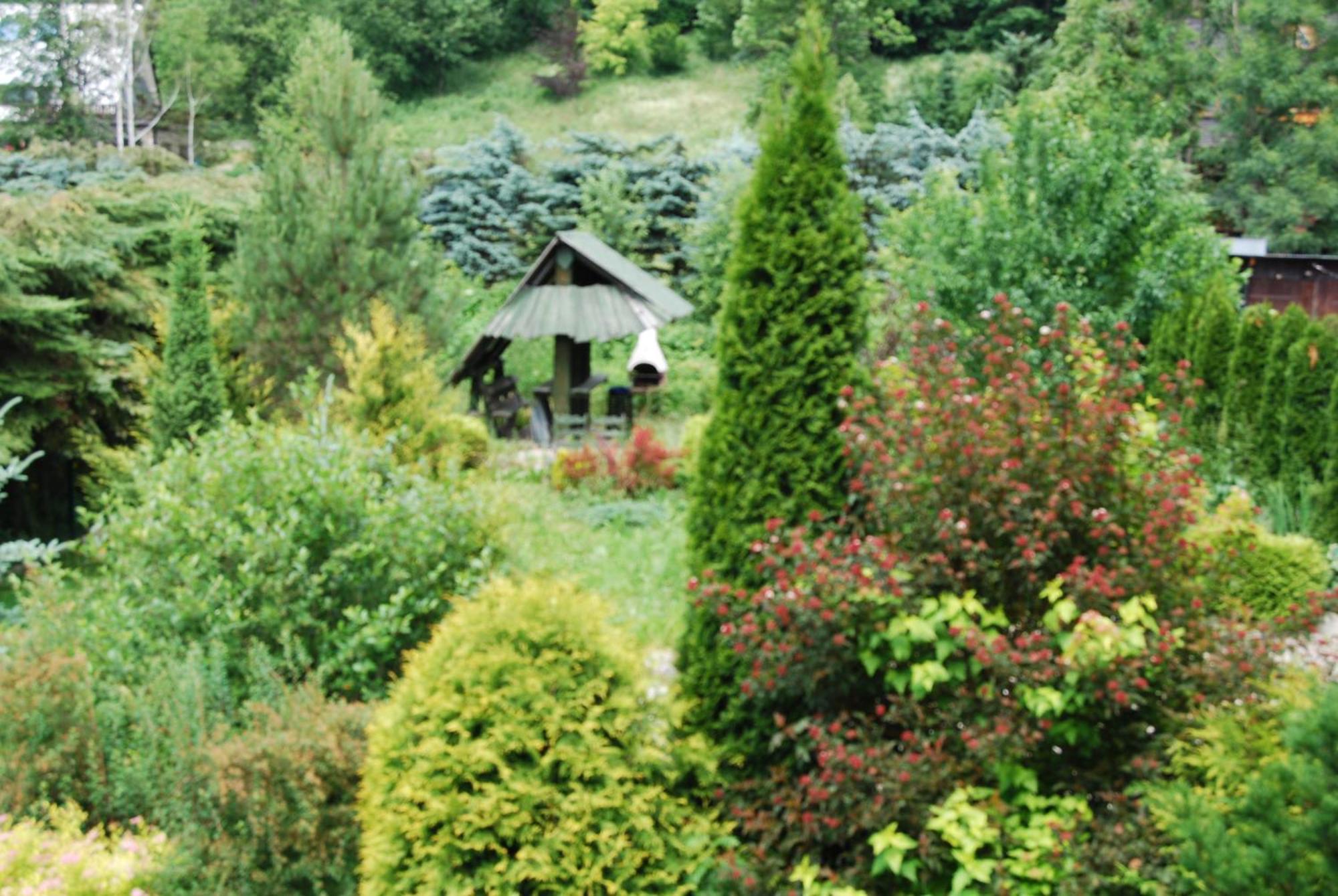 Willa Pod Bandera Zakopane Ngoại thất bức ảnh