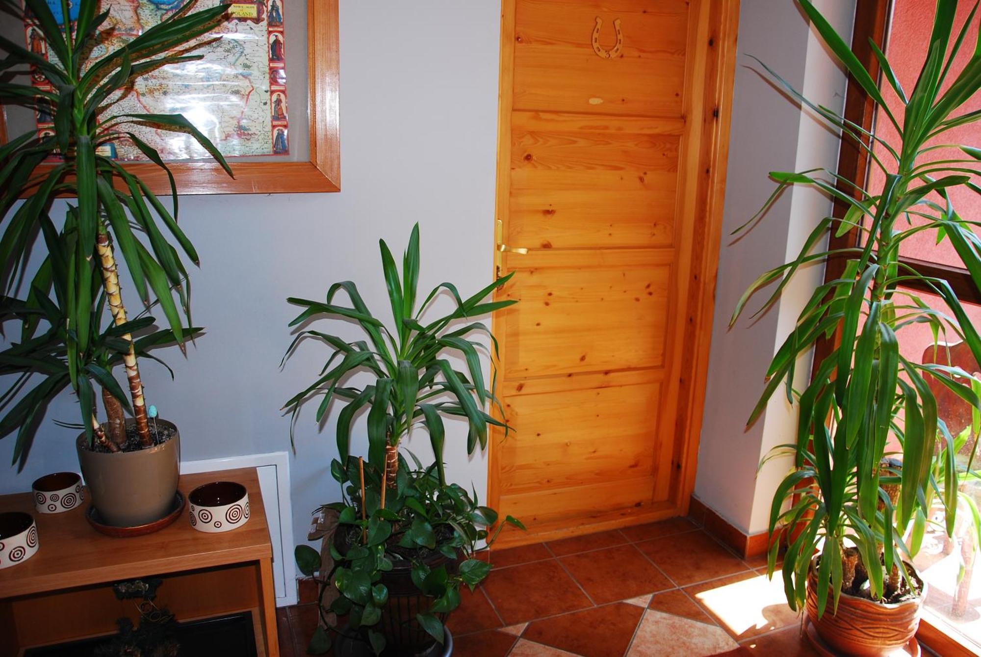 Willa Pod Bandera Zakopane Ngoại thất bức ảnh