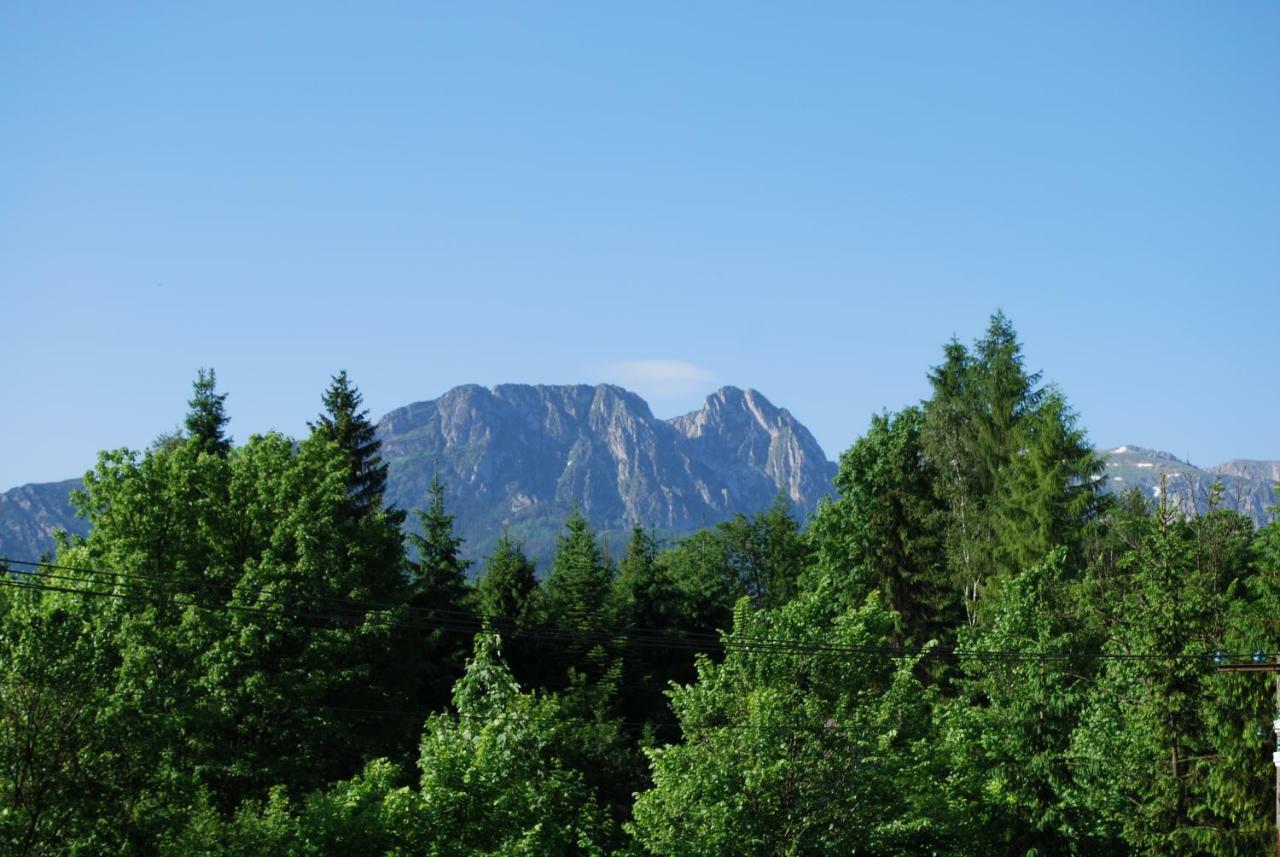 Willa Pod Bandera Zakopane Ngoại thất bức ảnh